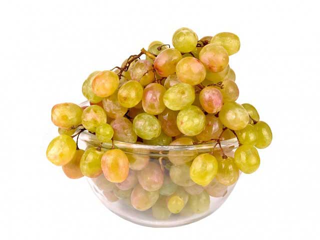 智慧便利出色的轰炸手机软件